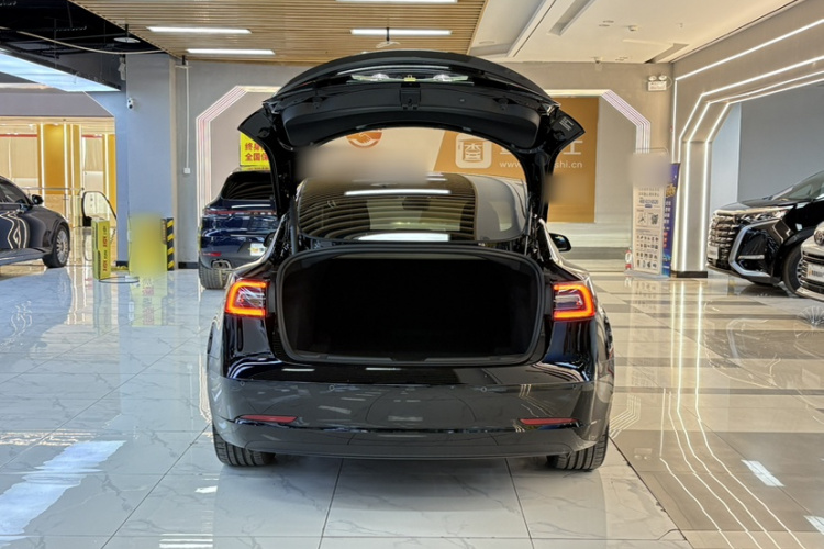 Tesla Model 3 2022 #20 Tesla Model 3 2022 car image #20
