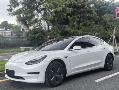 Tesla Model 3 2020 Tesla Model 3 2020 car image