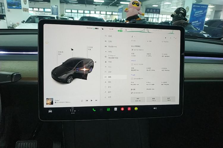 Tesla Model Y 2023 #13 Tesla Model Y 2023 car image #13