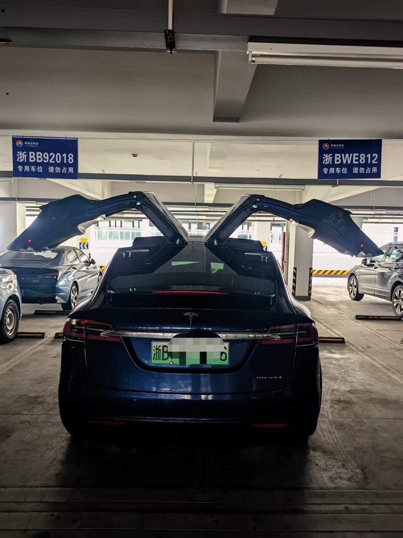 Tesla Model X 2020 #8 Tesla Model X 2020 car image #8