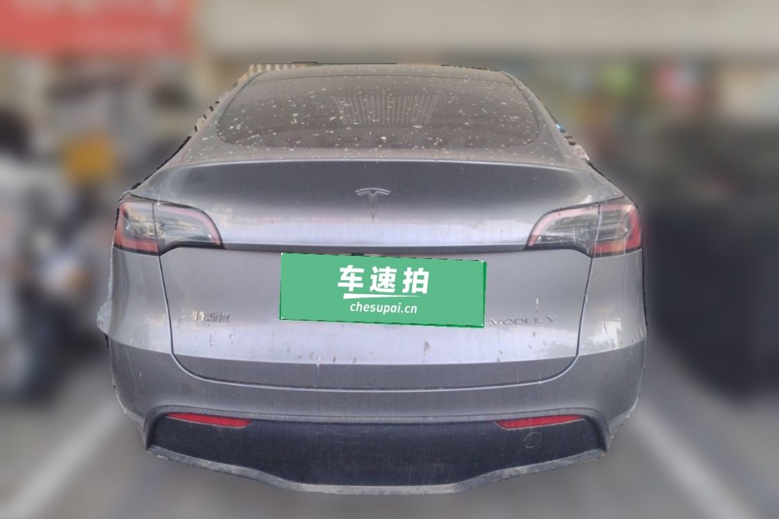 Tesla Model Y 2024 car image #6