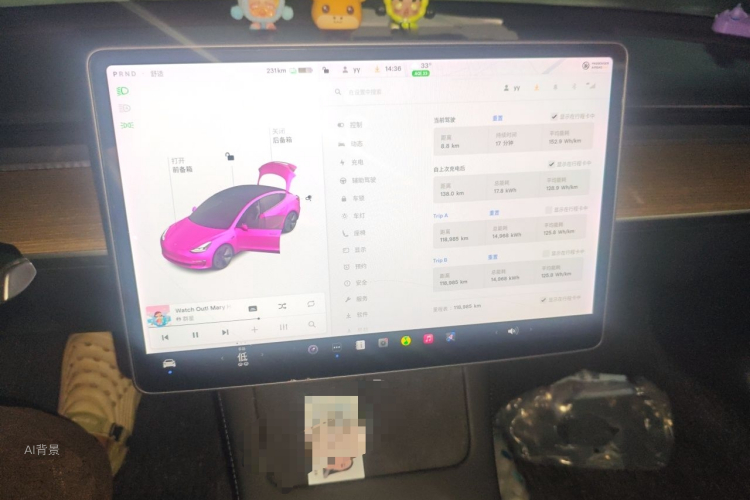 Tesla Model 3 2021 #13 Tesla Model 3 2021 car image #13