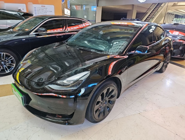 Tesla Model 3 2023 Tesla Model 3 2023 car image
