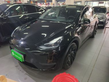 Tesla Model Y 2021 immagine di auto 