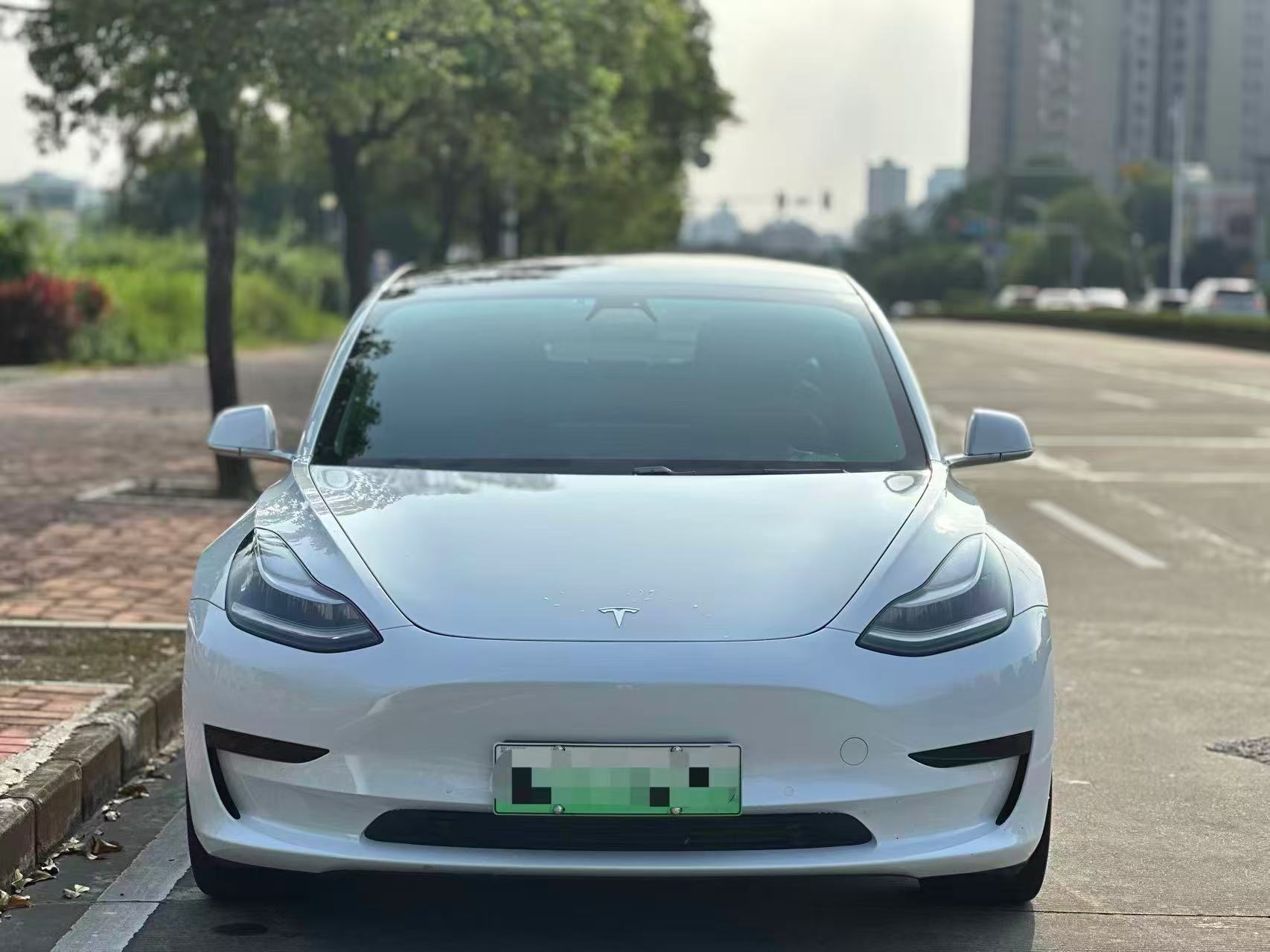 Tesla Model 3 2020 car image #2