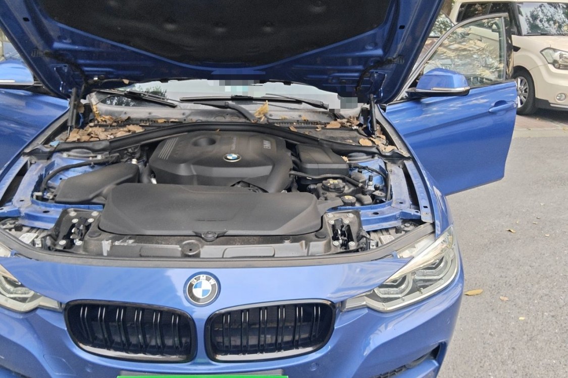 BMW 3 Series 2017 imagem de carro #12