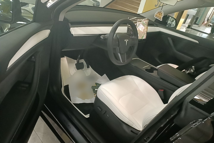 Tesla Model Y 2021 car image #12