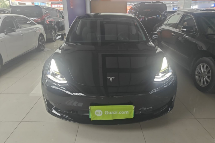Tesla Model 3 2022 immagine di auto #3