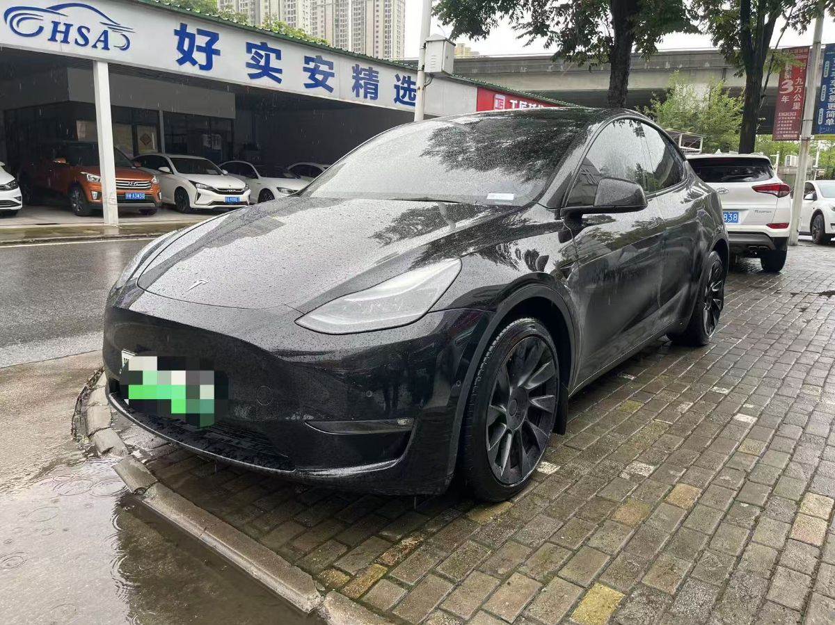 Tesla Model Y 2022 Tesla Model Y 2022 car image