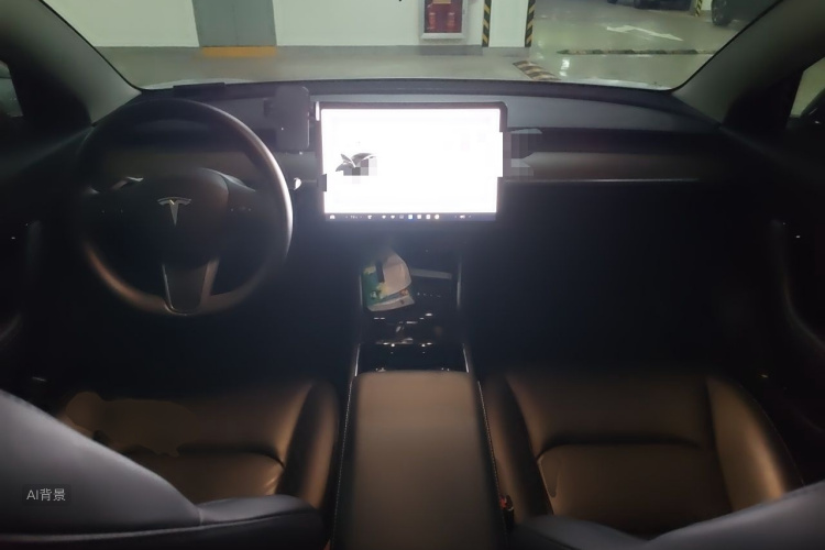 Tesla Model 3 2020 immagine di auto #11