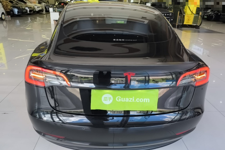 Tesla Model 3 2022 #6 Tesla Model 3 2022 car image #6