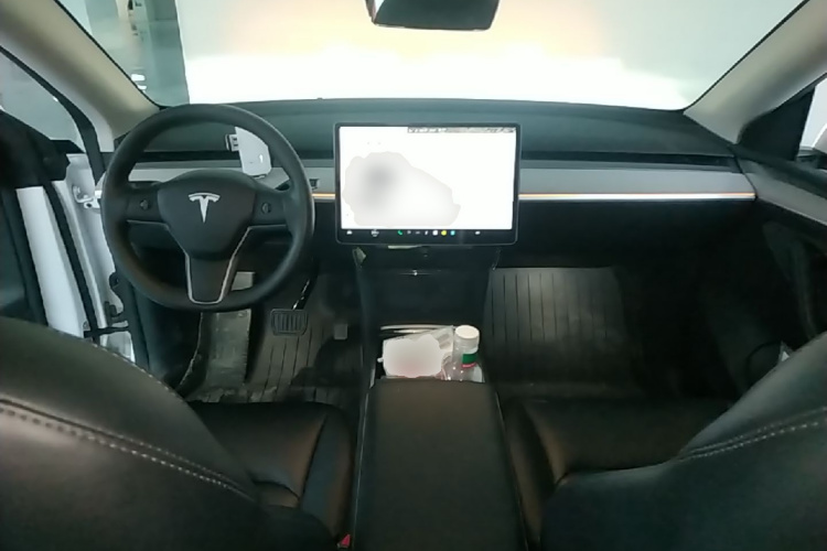 Tesla Model Y 2024 car image #10
