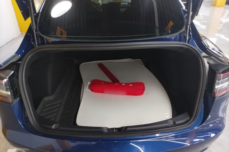 Tesla Model 3 2020 car image #19