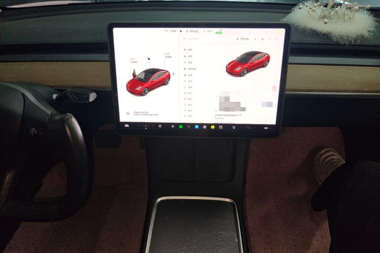 Tesla Model 3 2021 car image #17