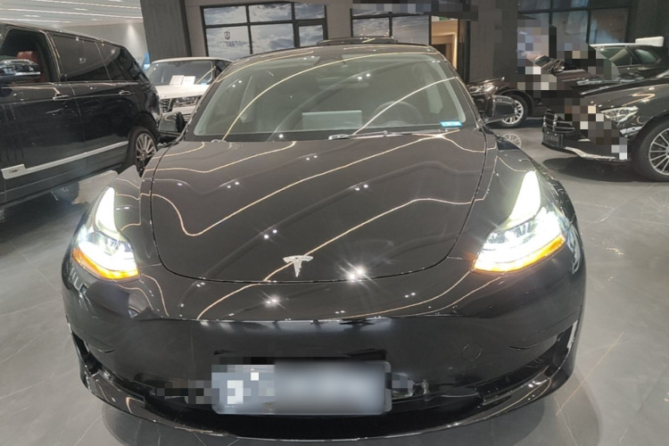 Tesla Model 3 2023 car image #3