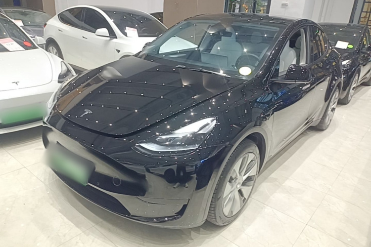 Tesla Model Y 2022 #2 Tesla Model Y 2022 car image #2