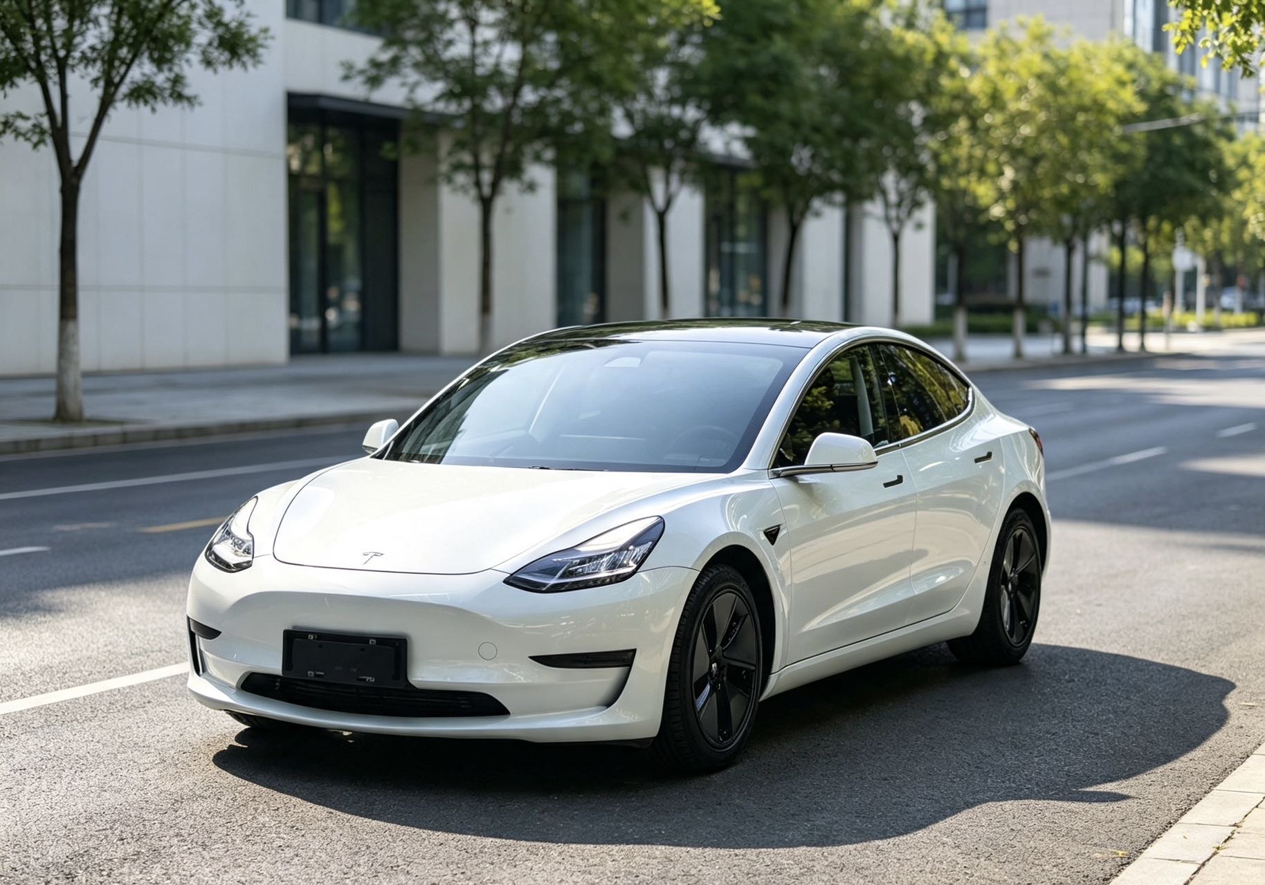 Tesla Model 3 2020 Tesla Model 3 2020 car image