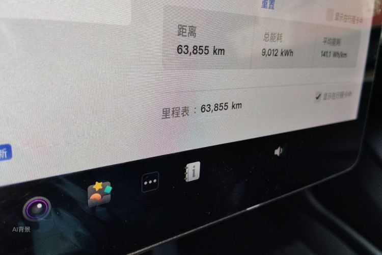 Tesla Model 3 2021 car image #14