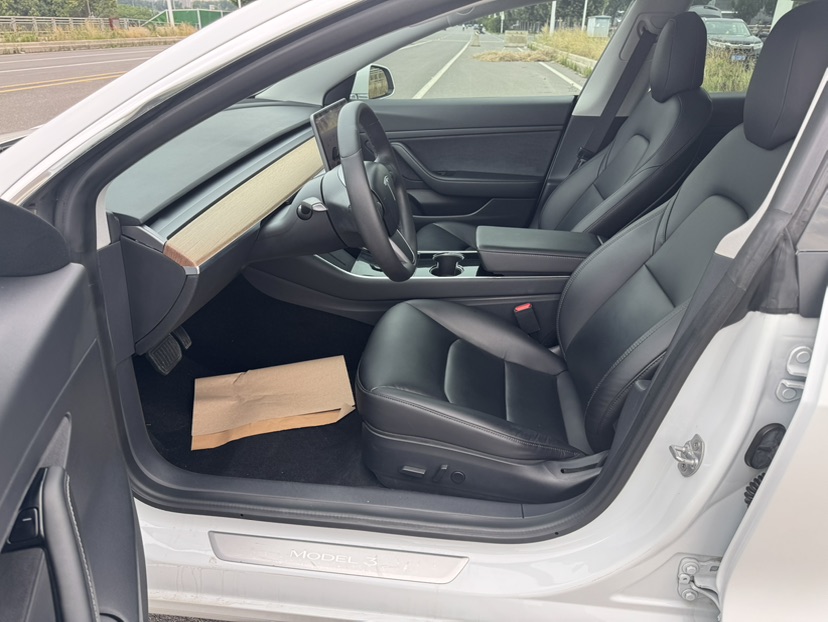 Tesla Model 3 2020 car image #7