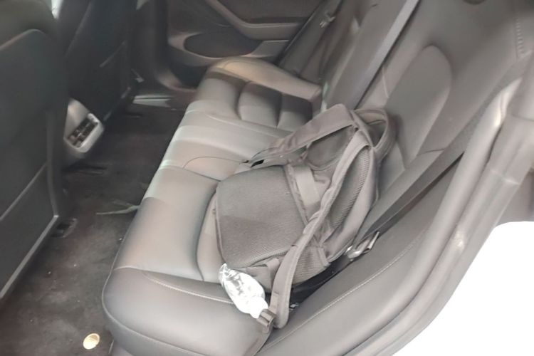 Tesla Model 3 2021 #17 Tesla Model 3 2021 car image #17