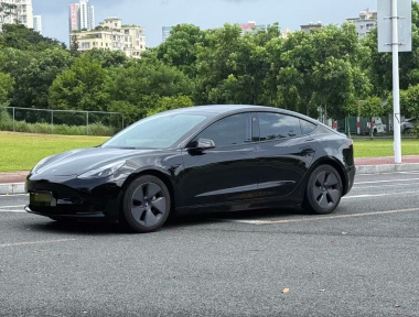 Tesla Model 3 2023 Tesla Model 3 2023 immagine di auto