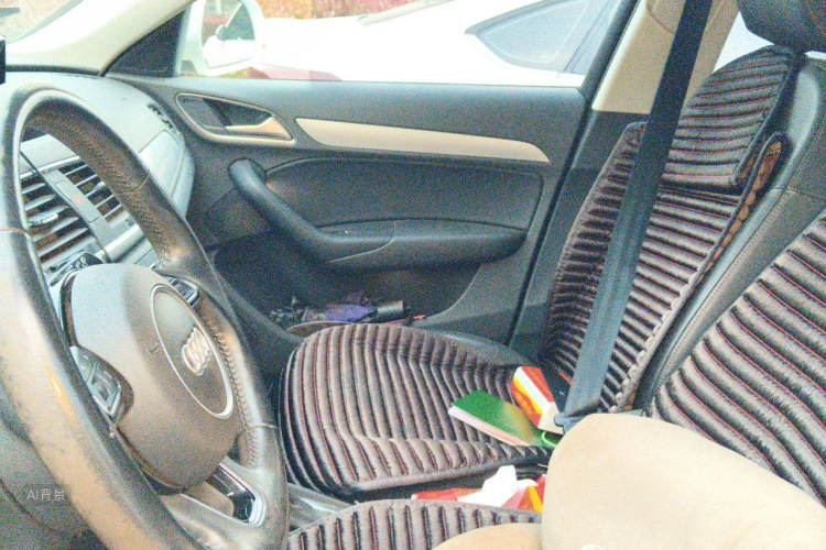 Audi Q3 2017 car image #17