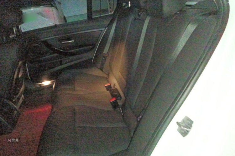 BMW 3 Series 2017 car image #19