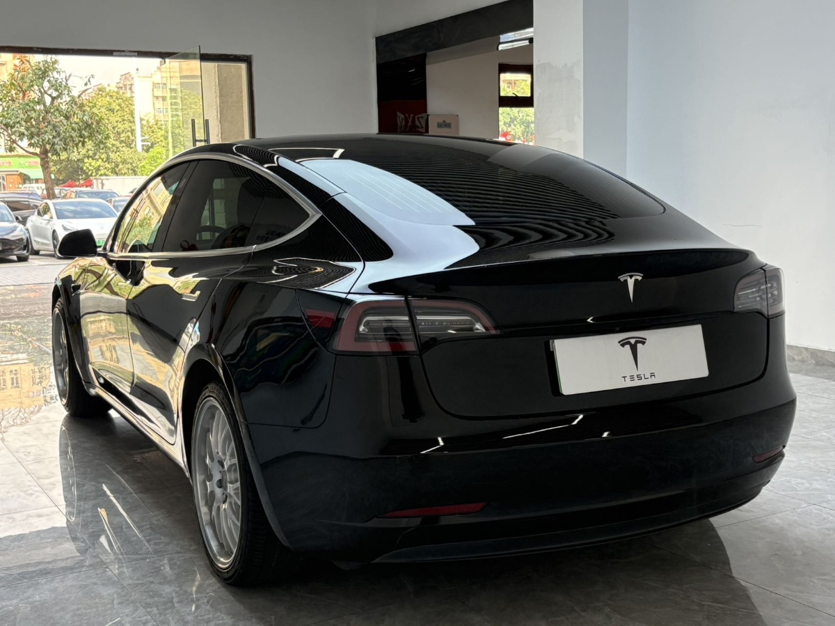 Tesla Model 3 2020 car image #7
