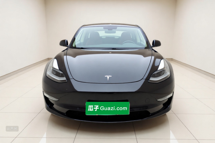Tesla Model 3 2020 car image #3