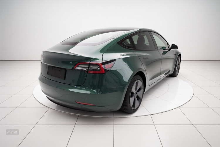 Tesla Model 3 2021 car image #7