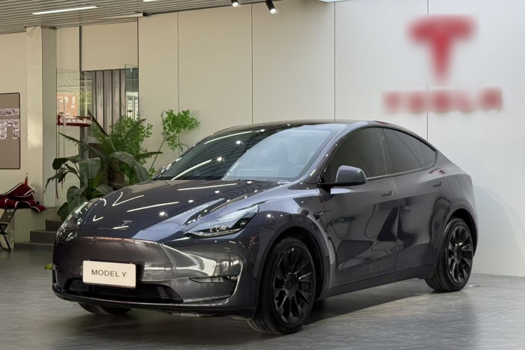 Tesla Model Y 2021 #2 Tesla Model Y 2021 car image #2
