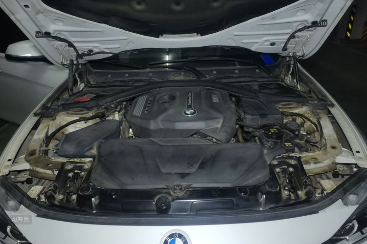 BMW 3 Series 2017 car image #22