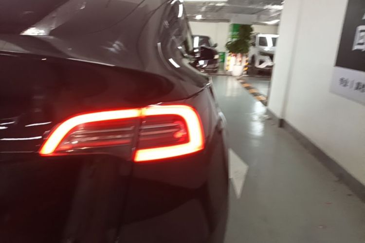 Tesla Model Y 2021 #8 Tesla Model Y 2021 car image #8