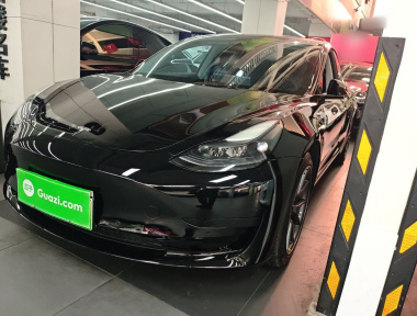 Tesla Model 3 2022 Tesla Model 3 2022 car image
