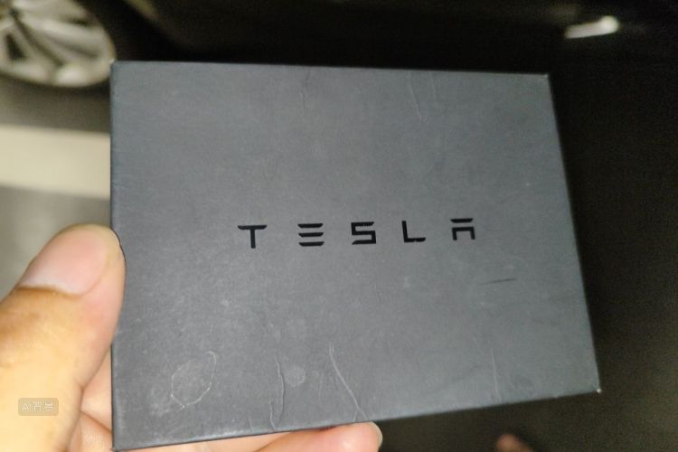 Tesla Model 3 2020 car image #10
