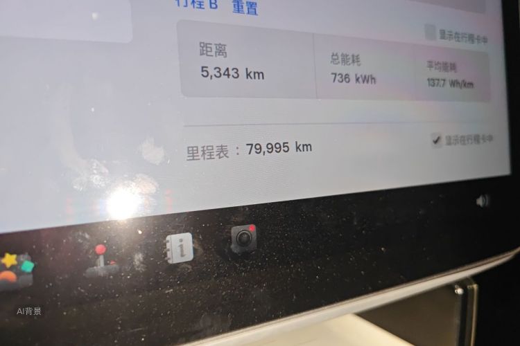 Tesla Model Y 2023 car image #14