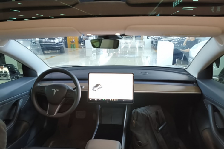 Tesla Model 3 2020 car image #10