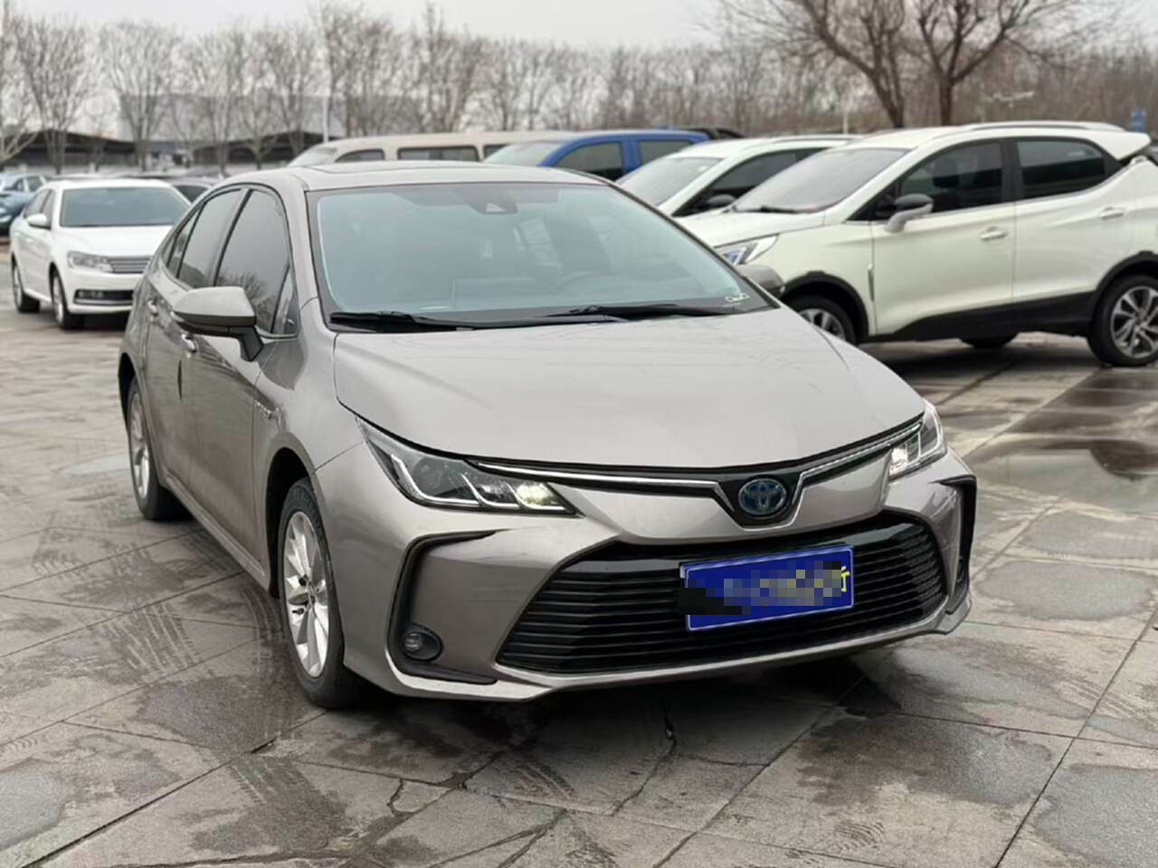 Toyota Corolla 2021 #5 Toyota Corolla 2021 car image #5