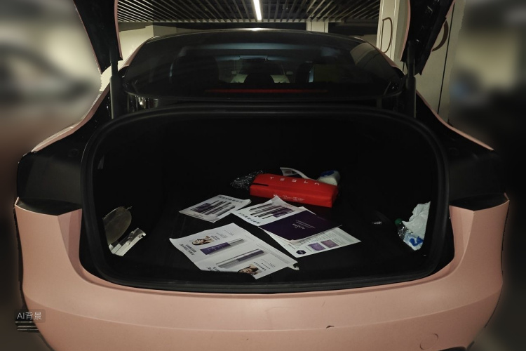 Tesla Model 3 2023 car image #21