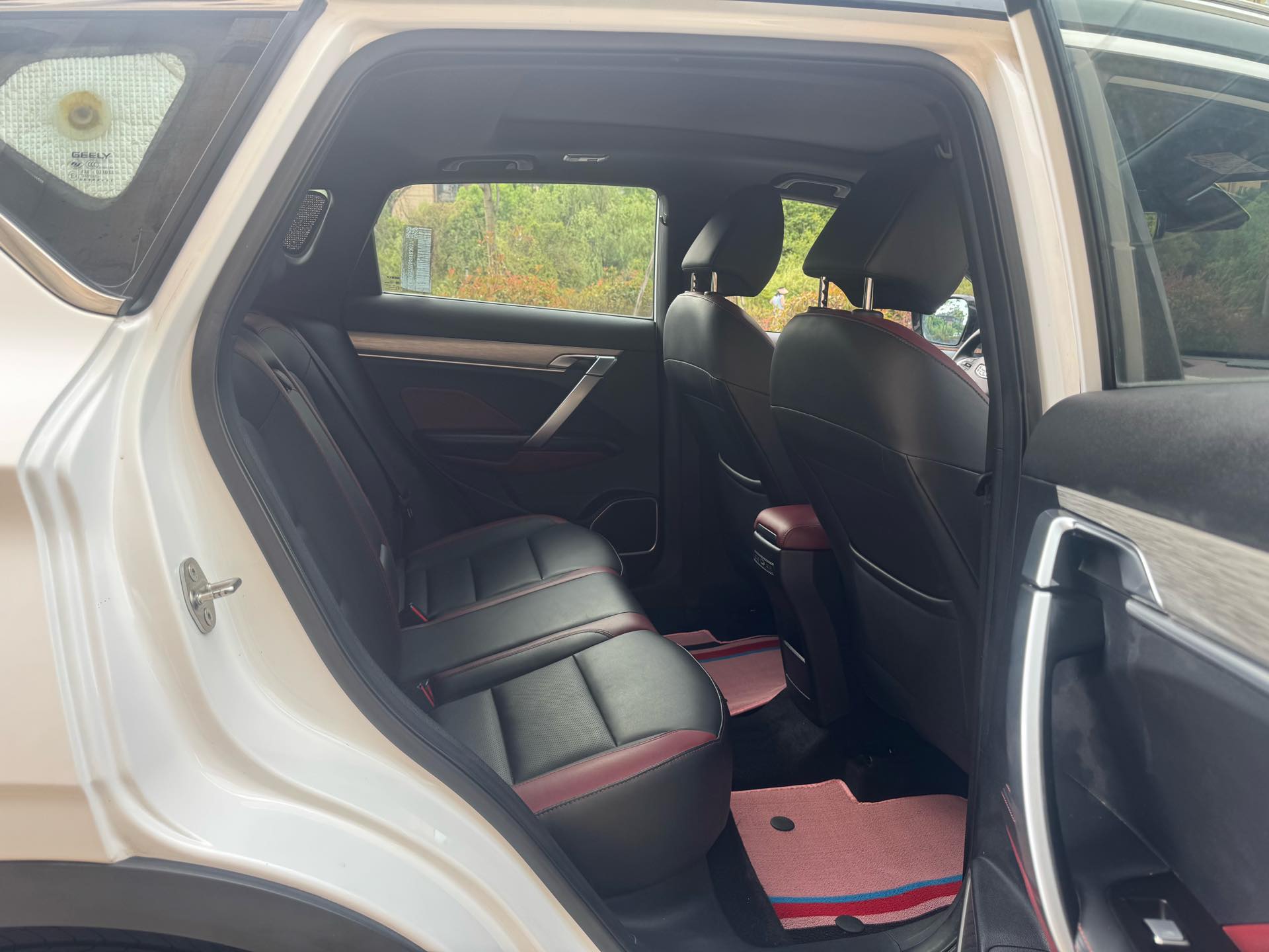 GEELY Coolray 2019 car image #9