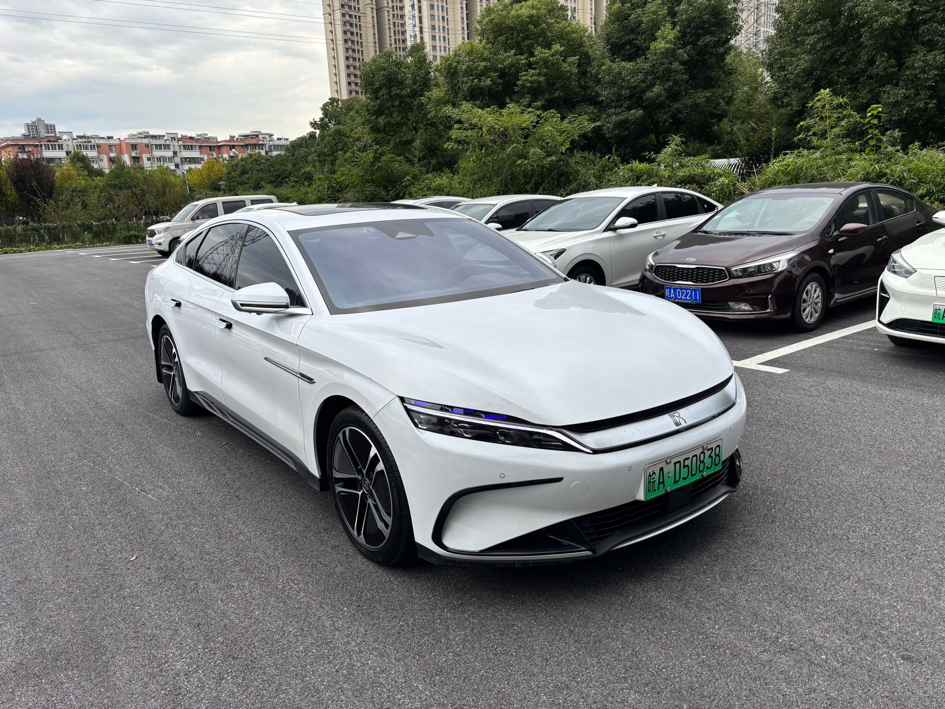 BYD Han 2024 #4 BYD Han 2024 immagine di auto #4