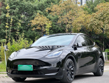 Tesla Model Y 2021 Tesla Model Y 2021 car image
