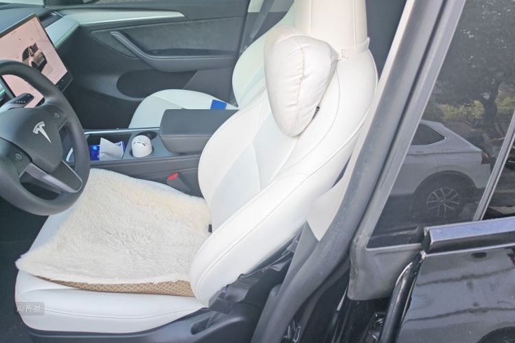 Tesla Model Y 2023 car image #17