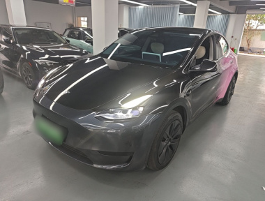 Tesla Model Y 2024 Tesla Model Y 2024 car image