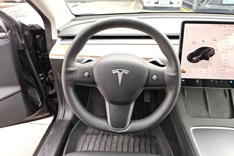 Tesla Model 3 2022 car image #15