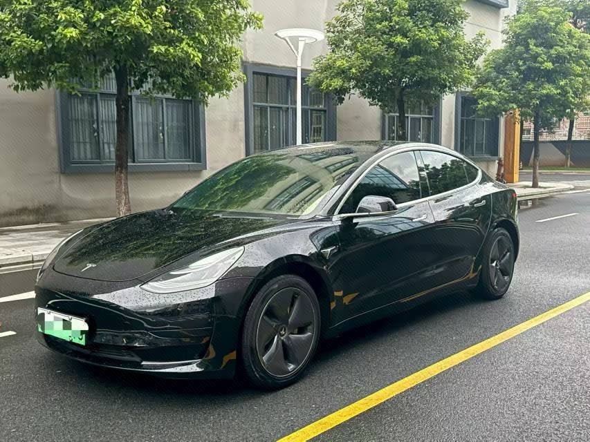 Tesla Model 3 2021 Tesla Model 3 2021 car image