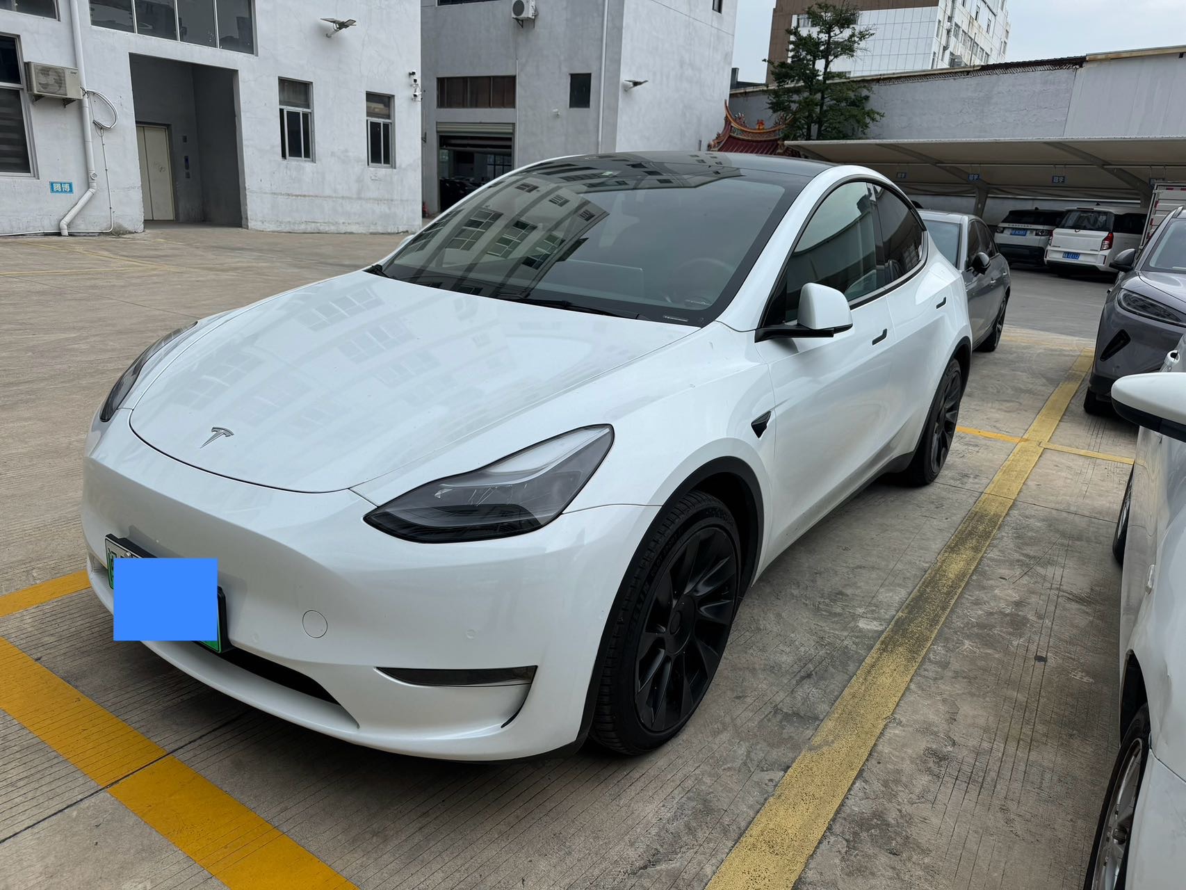 Tesla Model Y 2021 car image 