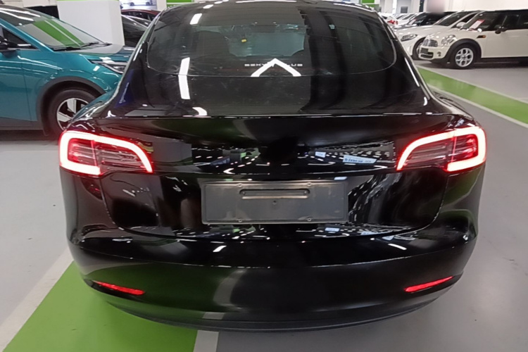 Tesla Model 3 2021 car image #6