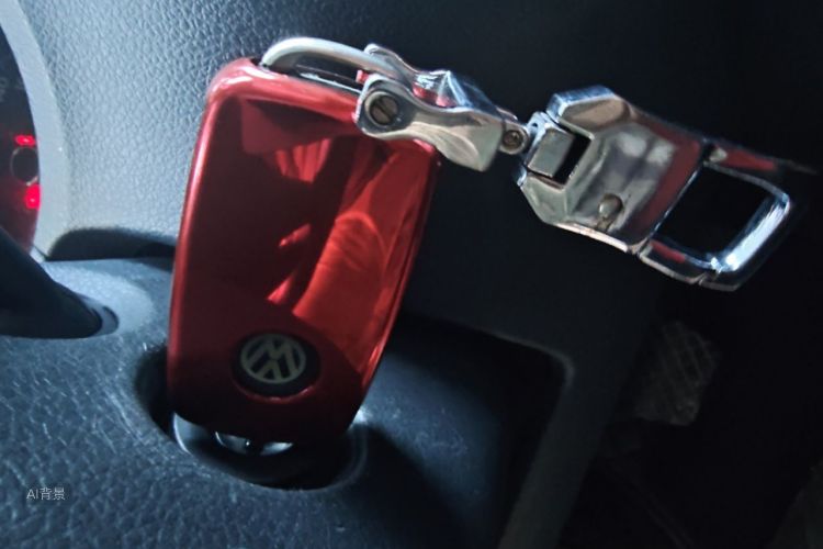 Volkswagen Polo 2016 car image #10
