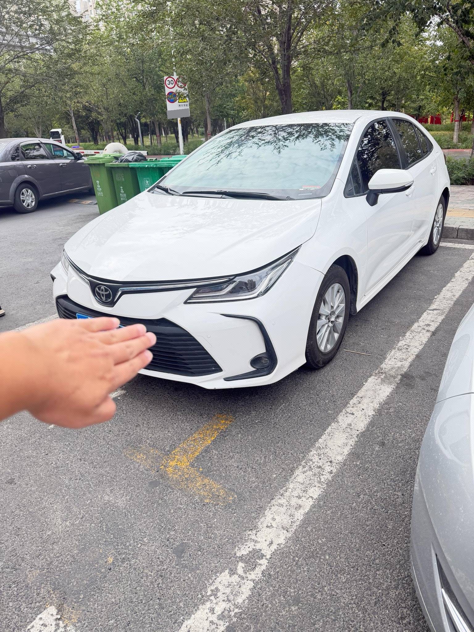 Toyota Corolla 2023 car image 